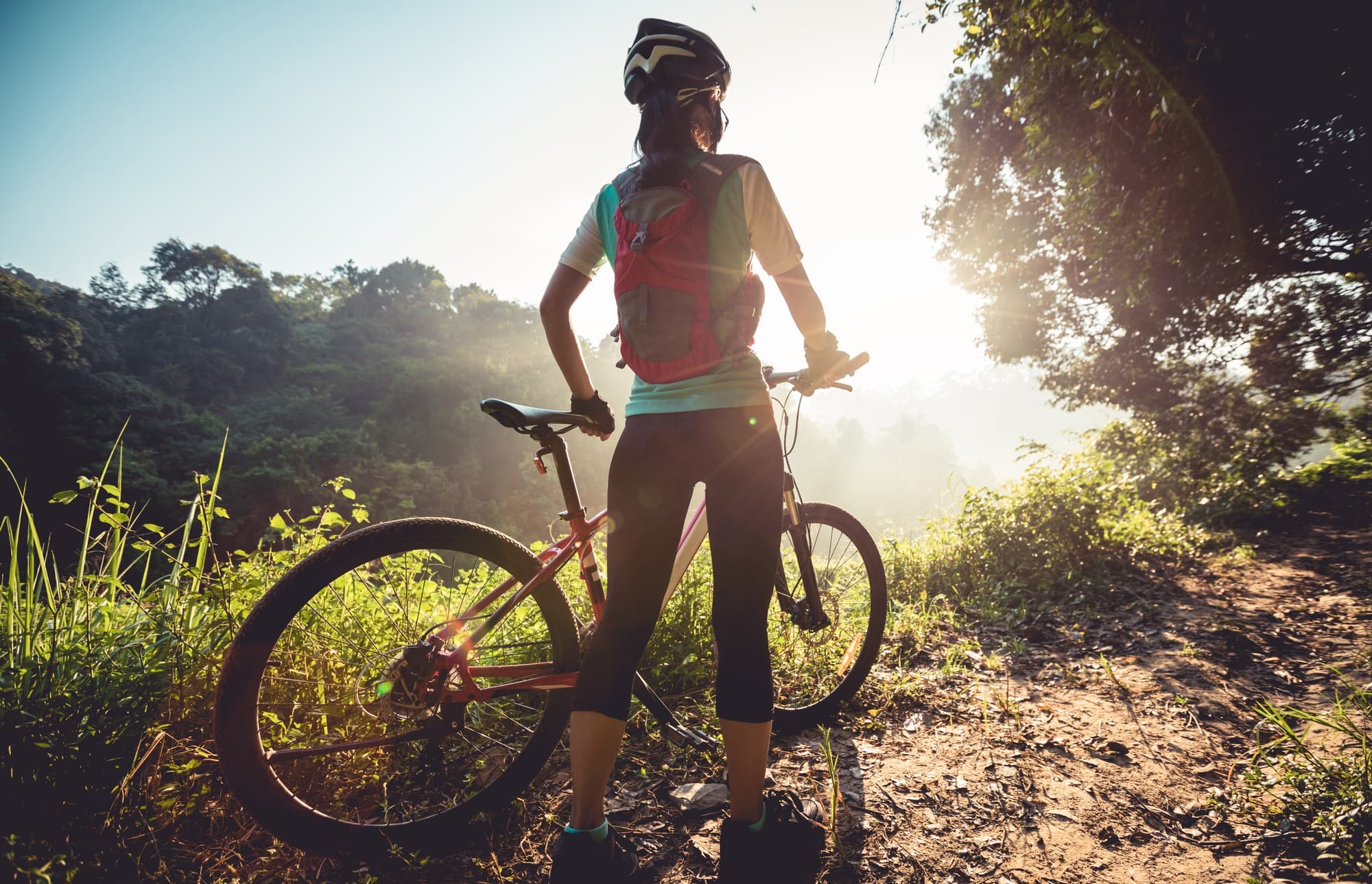 Cyclist on a wooded Penns Valley road
