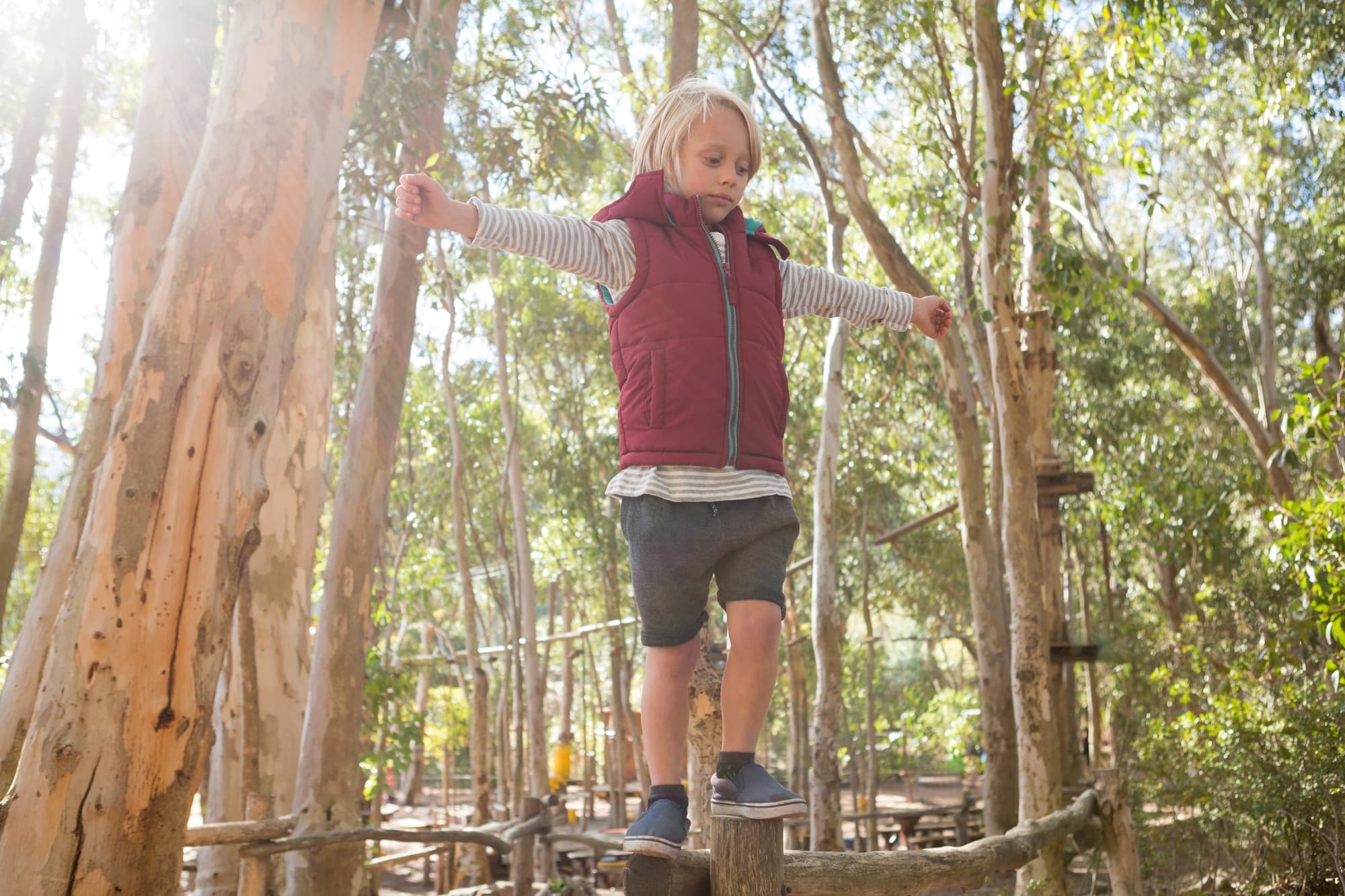 A child walking in the woods
